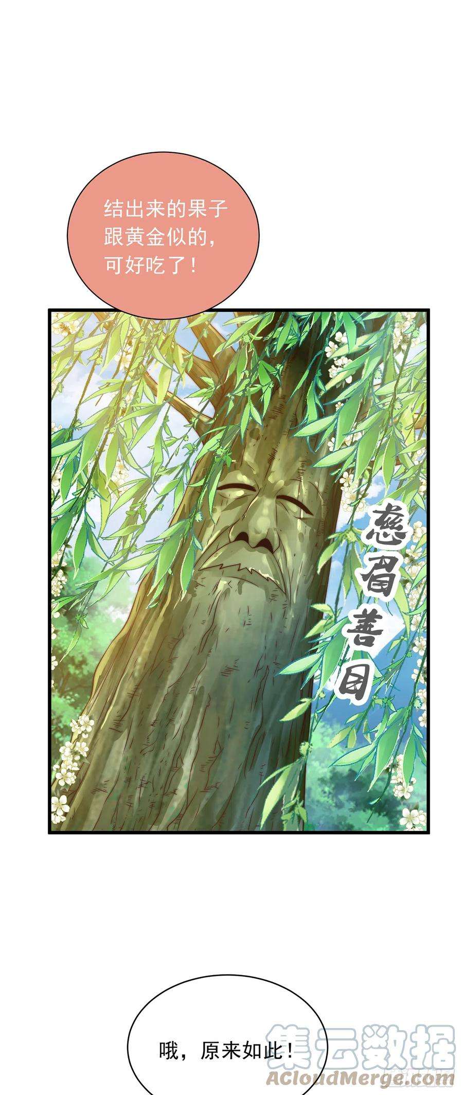 绝世强者只想回家种田24话 九天玄女