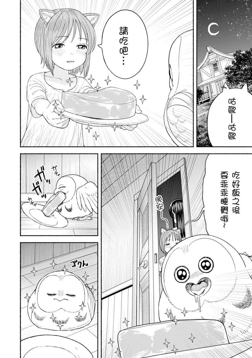 女骑士与兽耳正太第10话-养猫头鹰吧