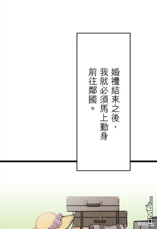 奴莉塔丝-伪装的新娘第15话