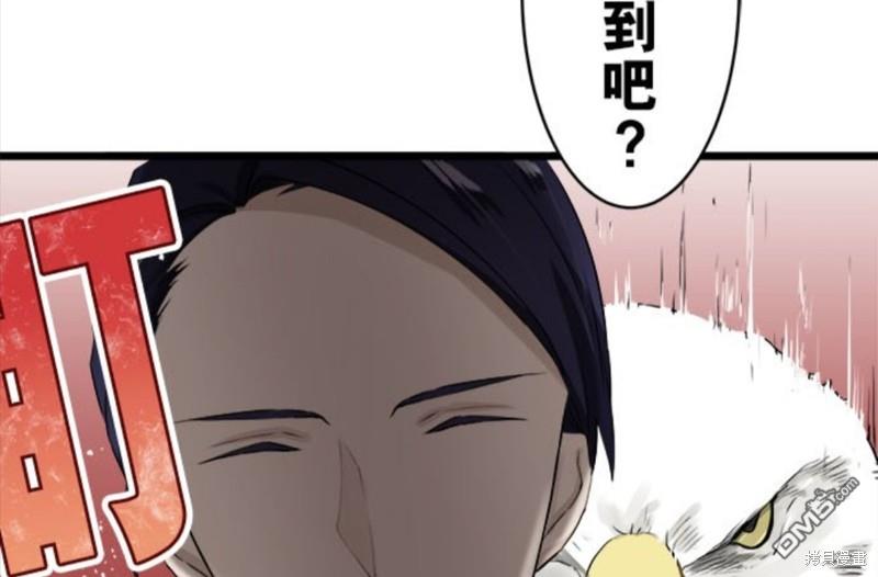 奴莉塔丝-伪装的新娘第22话