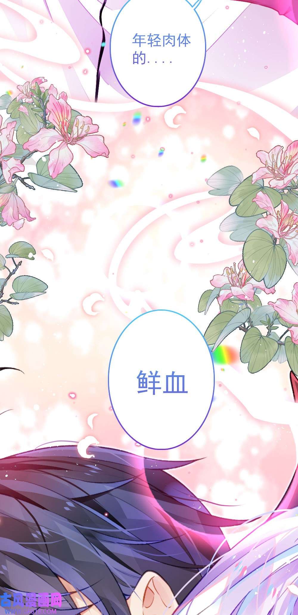 黑魔女之心4 新的伙伴