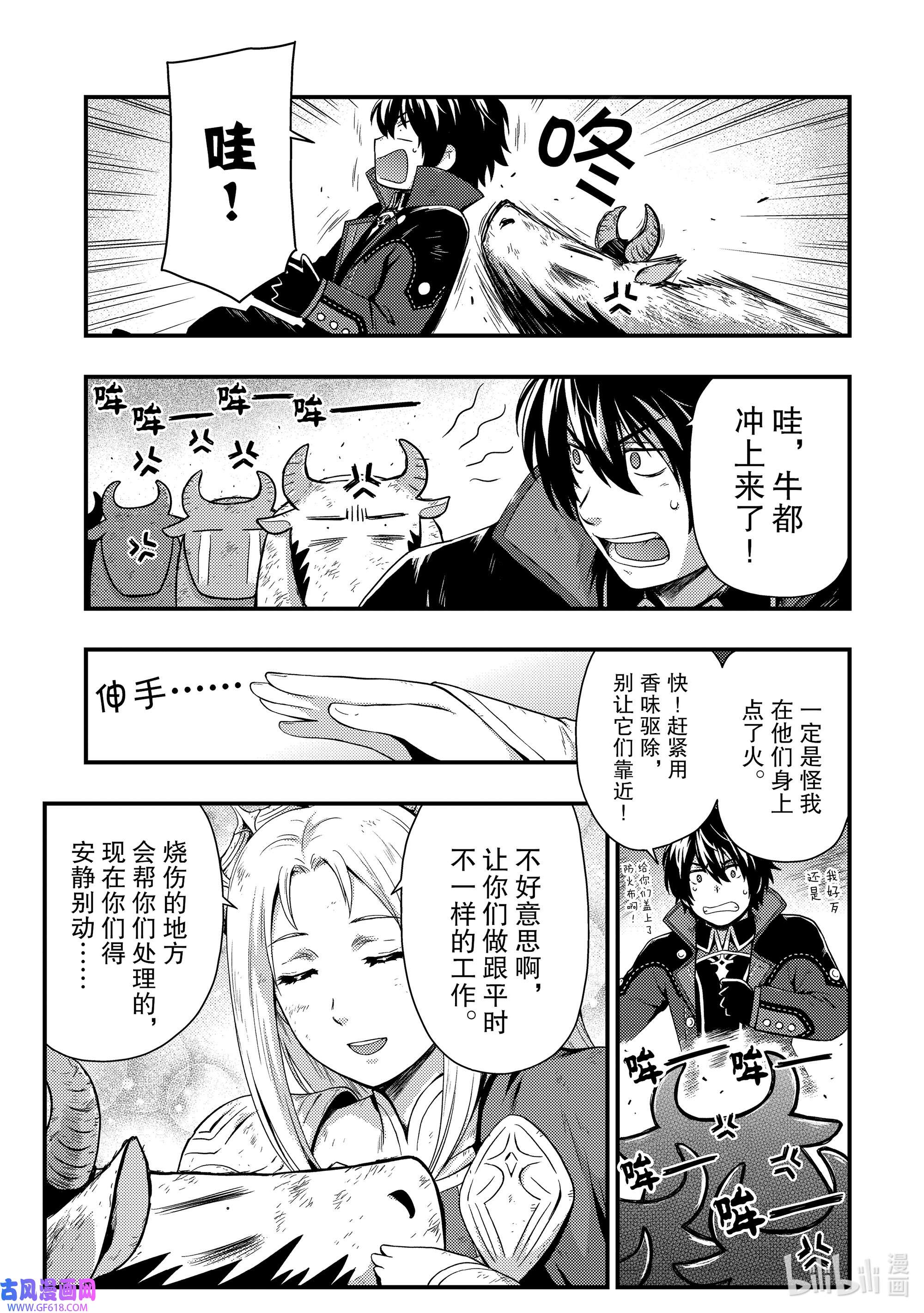 影子宫廷魔法师~被认为无能的男人，其实是最强的军师~2 给拂晓添上火球