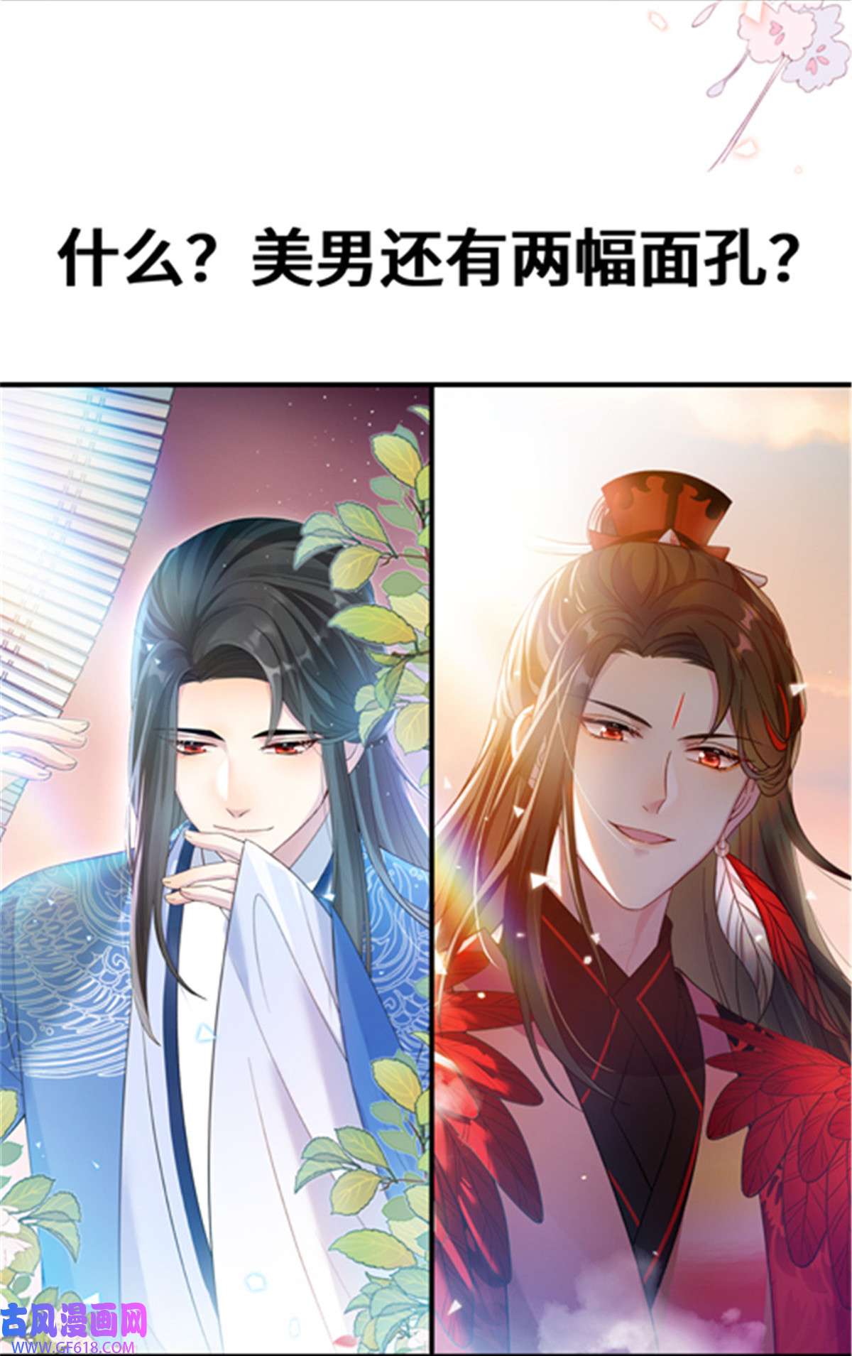 女尊每天都在被美男迫害预告 预告