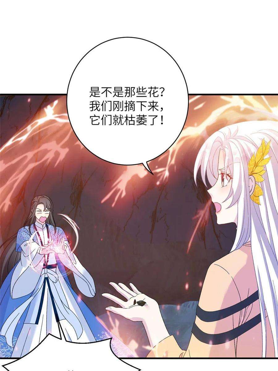 女尊每天都在被美男迫害24 狂扁护灵兽