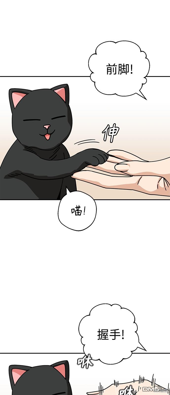 莫名成了天生一对第20话