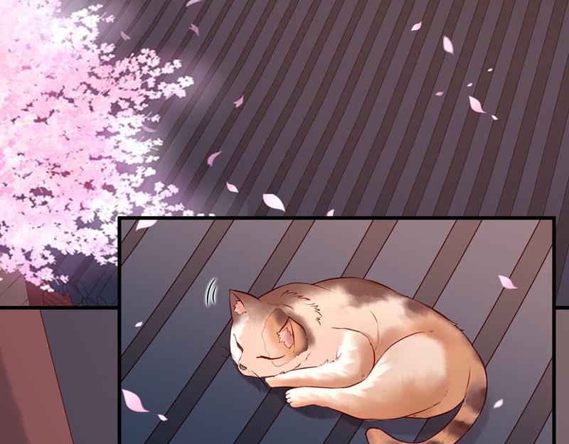 白月光驯服计划第24话