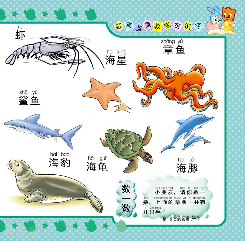 虹猫蓝兔教宝宝识字9话