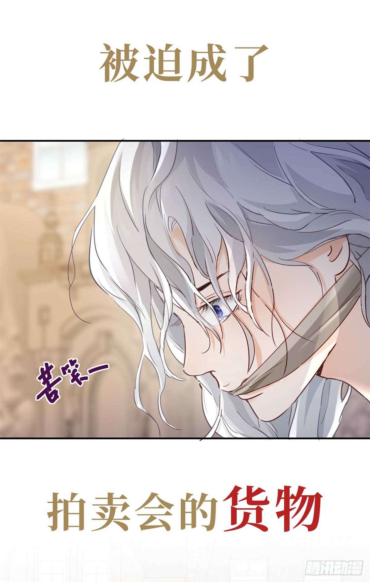 贩卖给王子预告