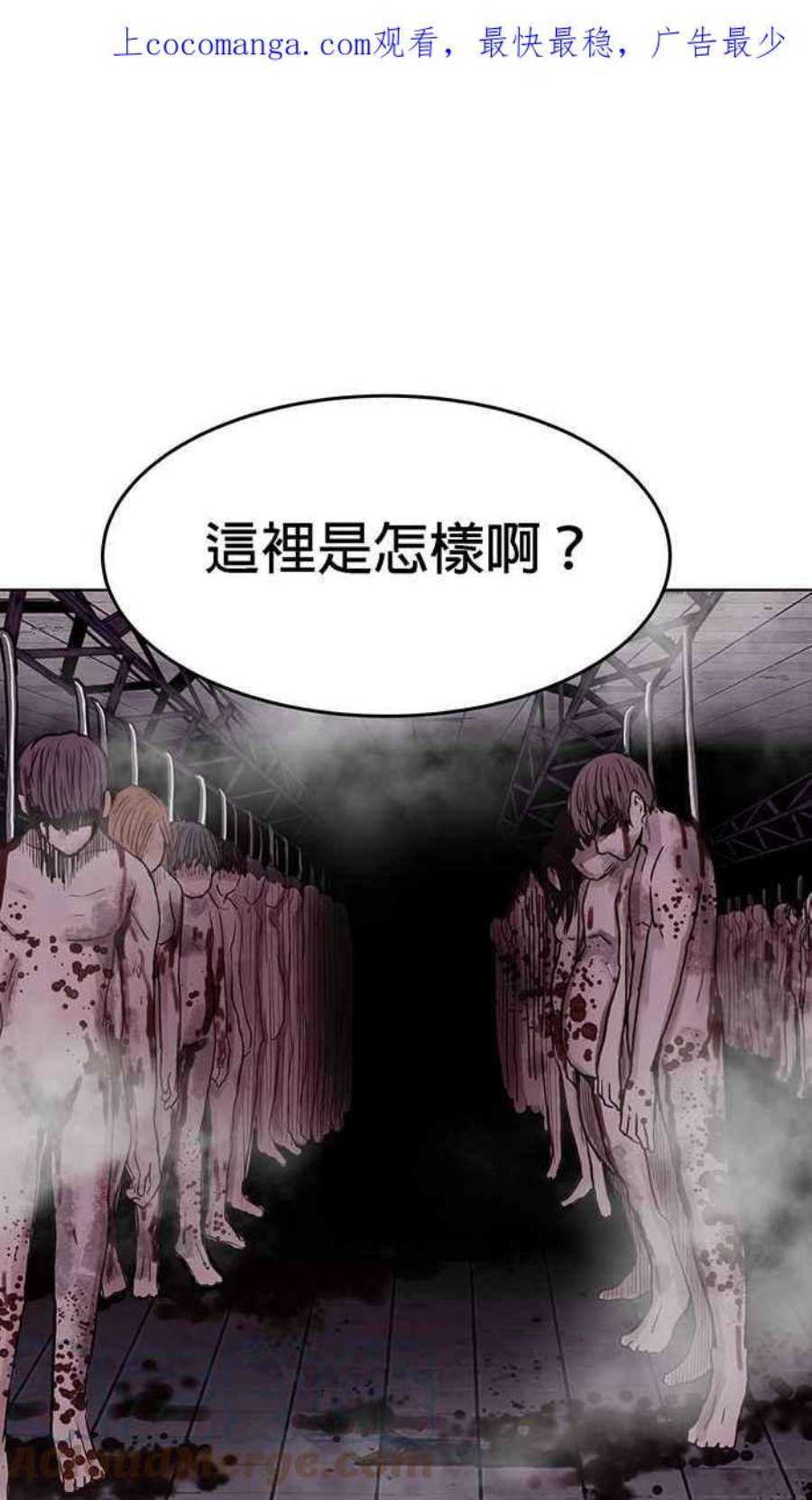 引路人114条路 共同目标