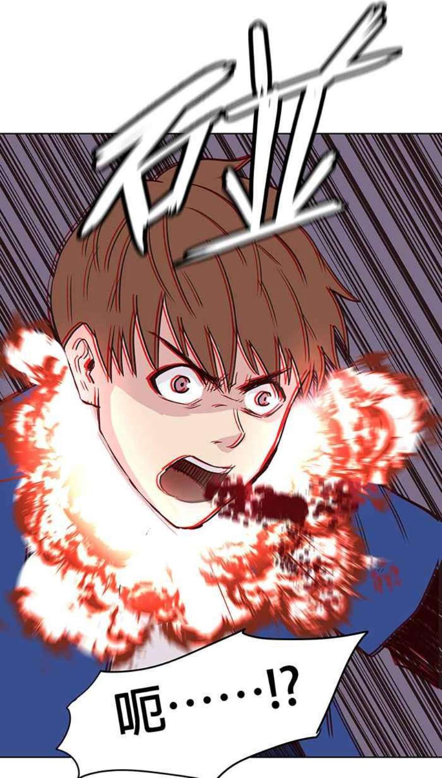 引路人114条路 共同目标