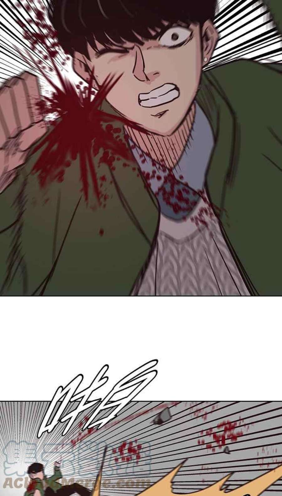 引路人114条路 共同目标