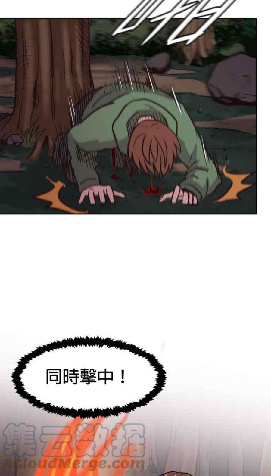 引路人143条路 适者生存