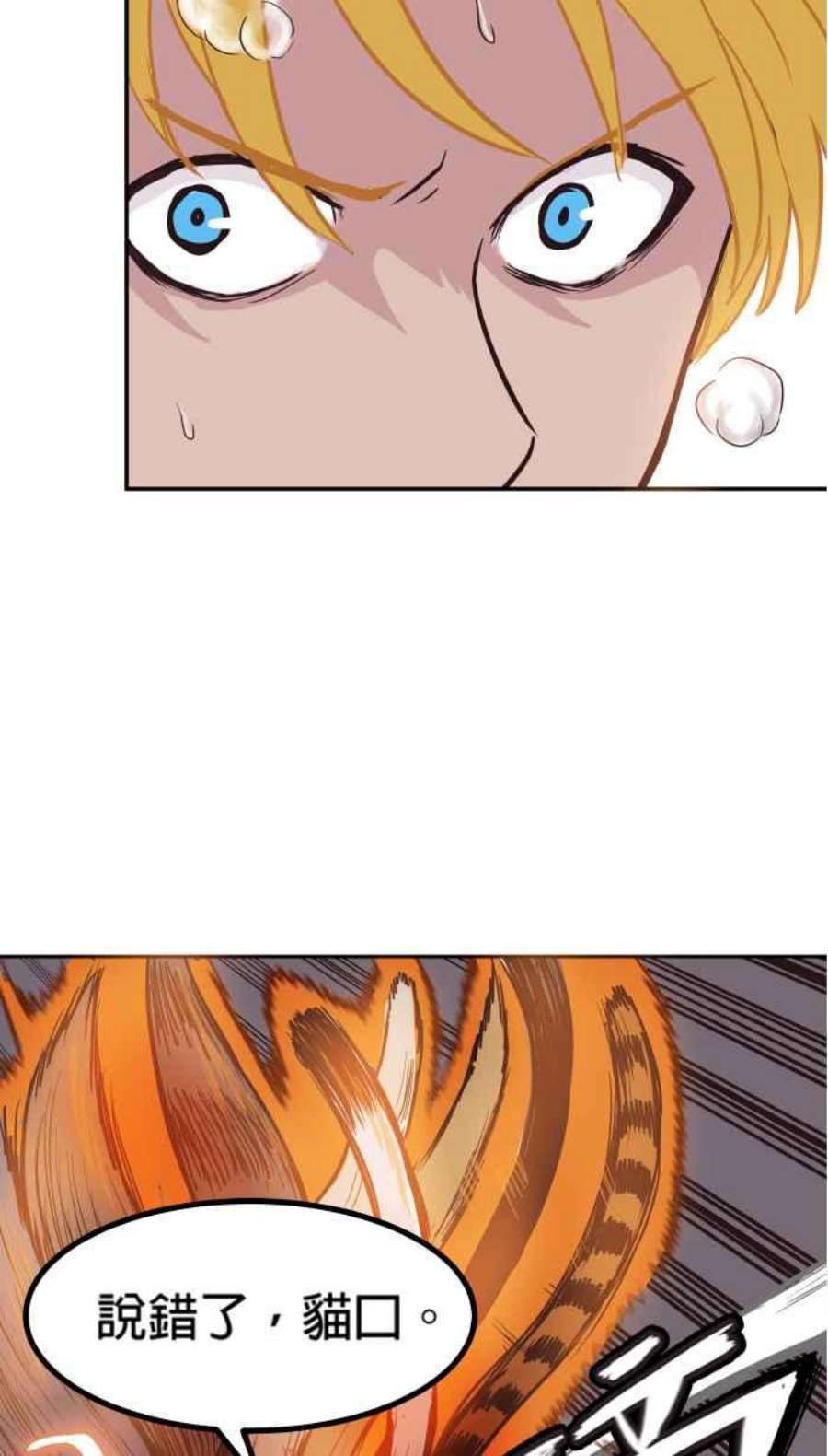 引路人159条路 九尾猫