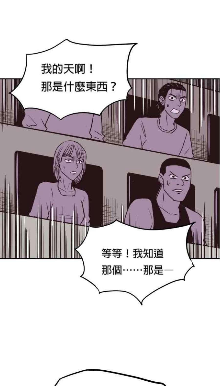 引路人159条路 九尾猫