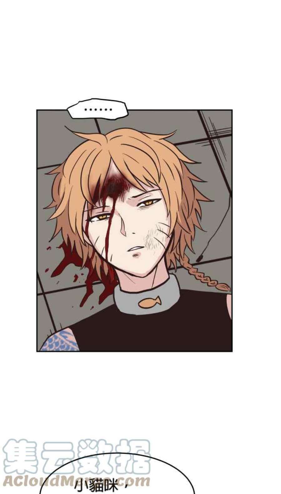 引路人159条路 九尾猫