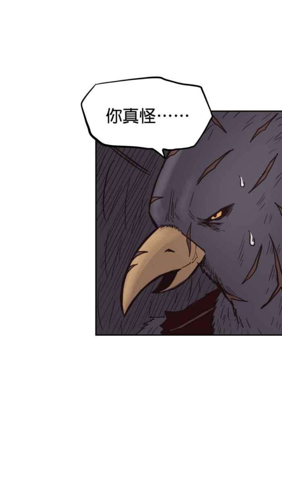 引路人163条路 少数人