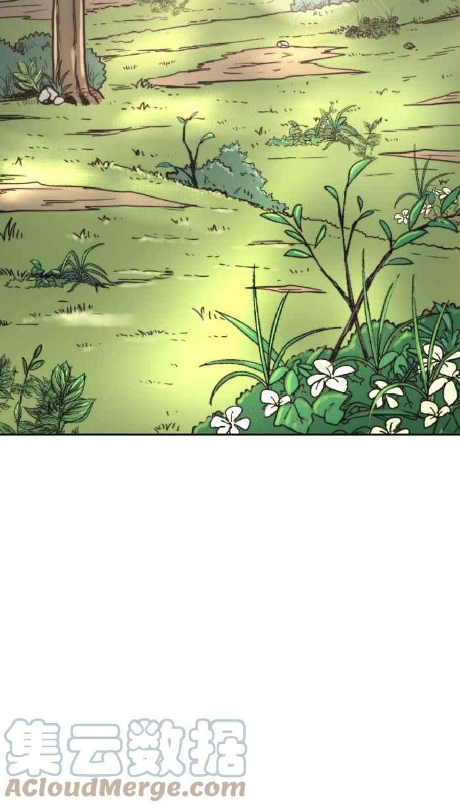 引路人163条路 少数人