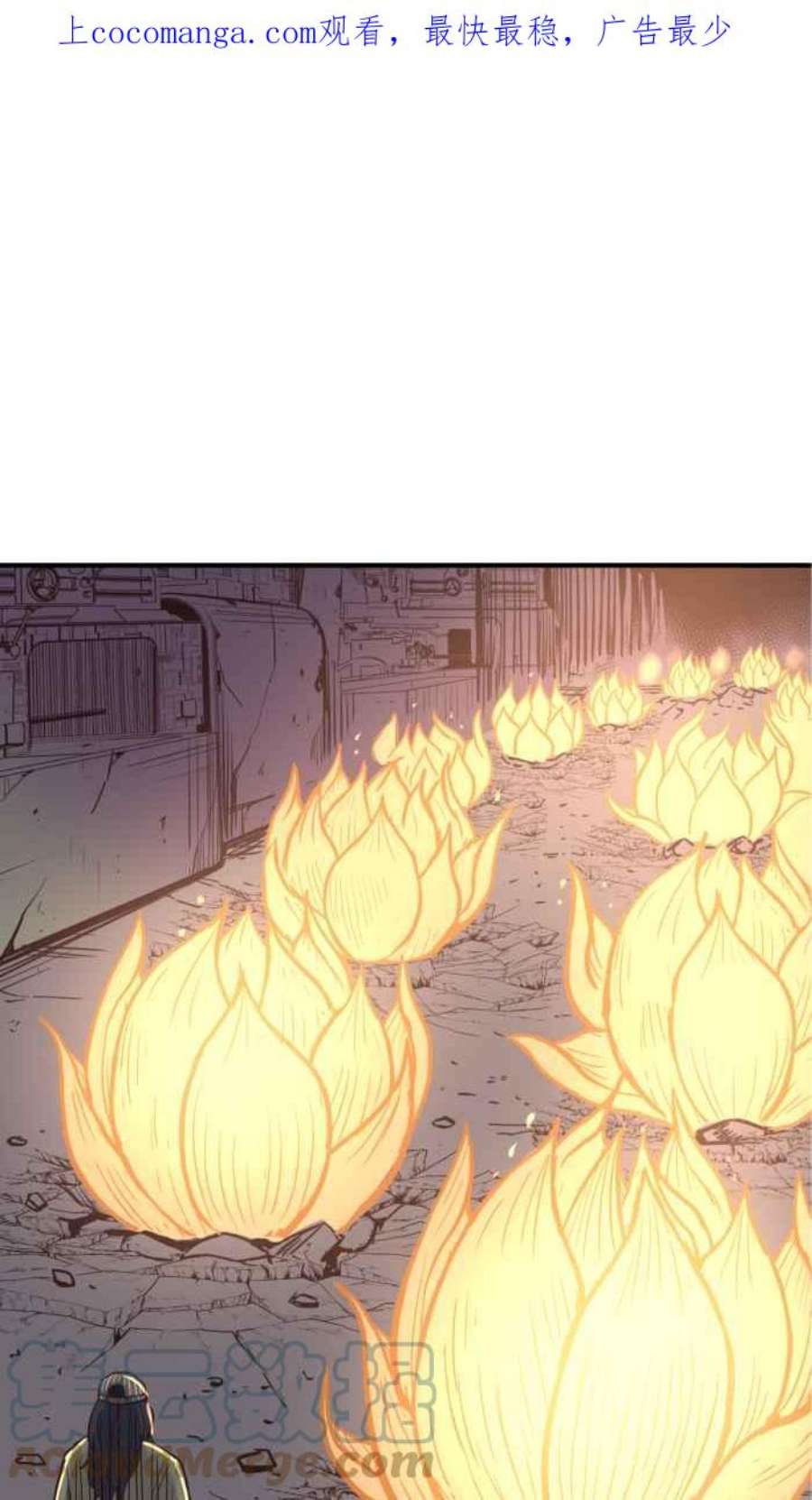 引路人188条路 佼佼者