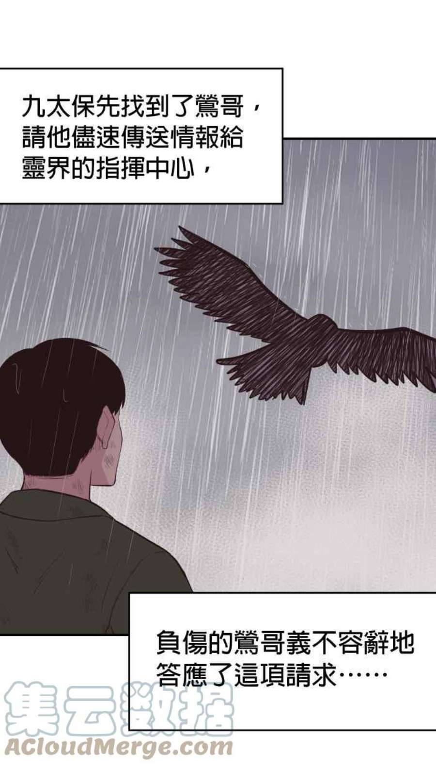 引路人204条路 惨痛代价