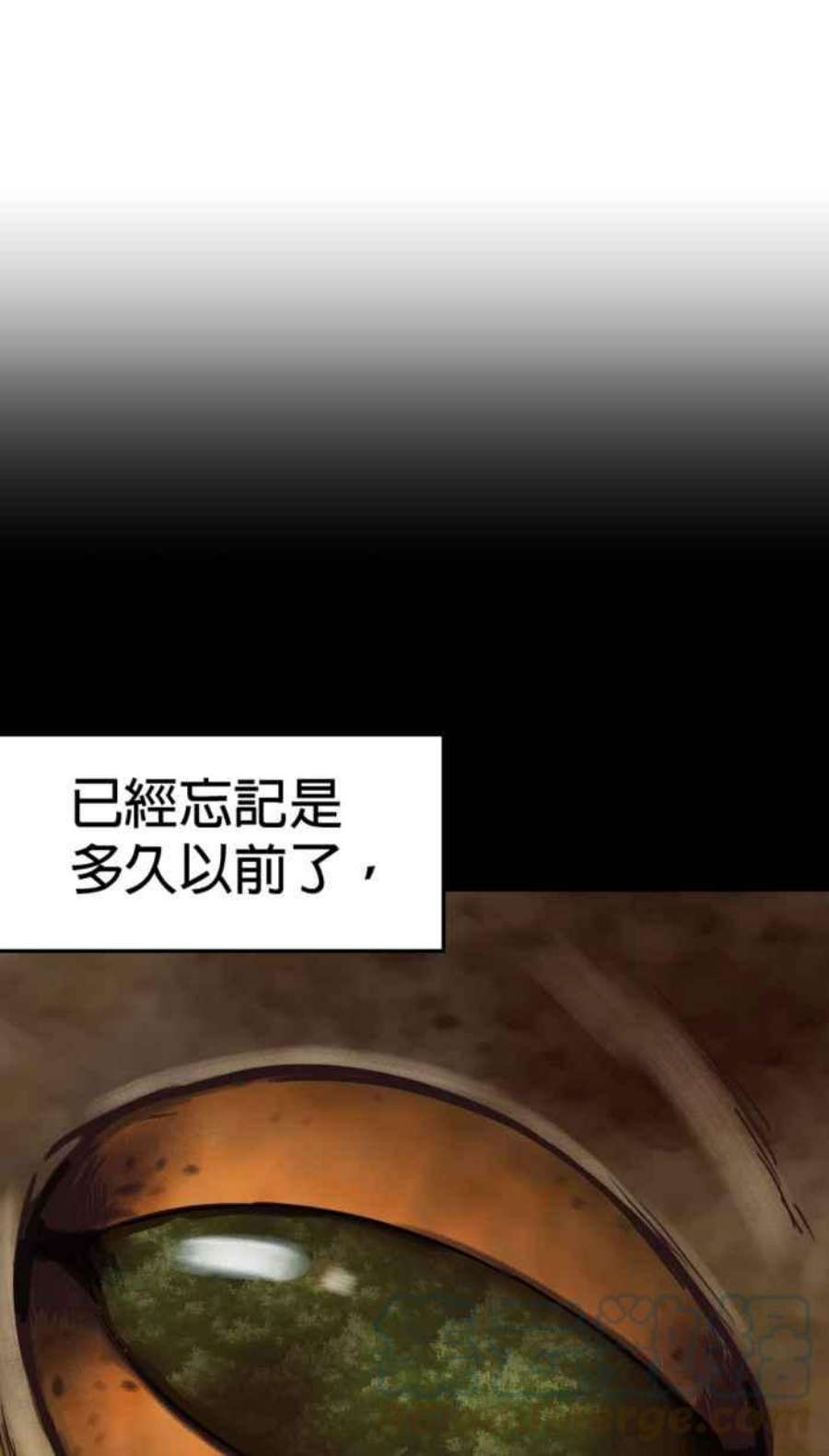 引路人215条路 历史