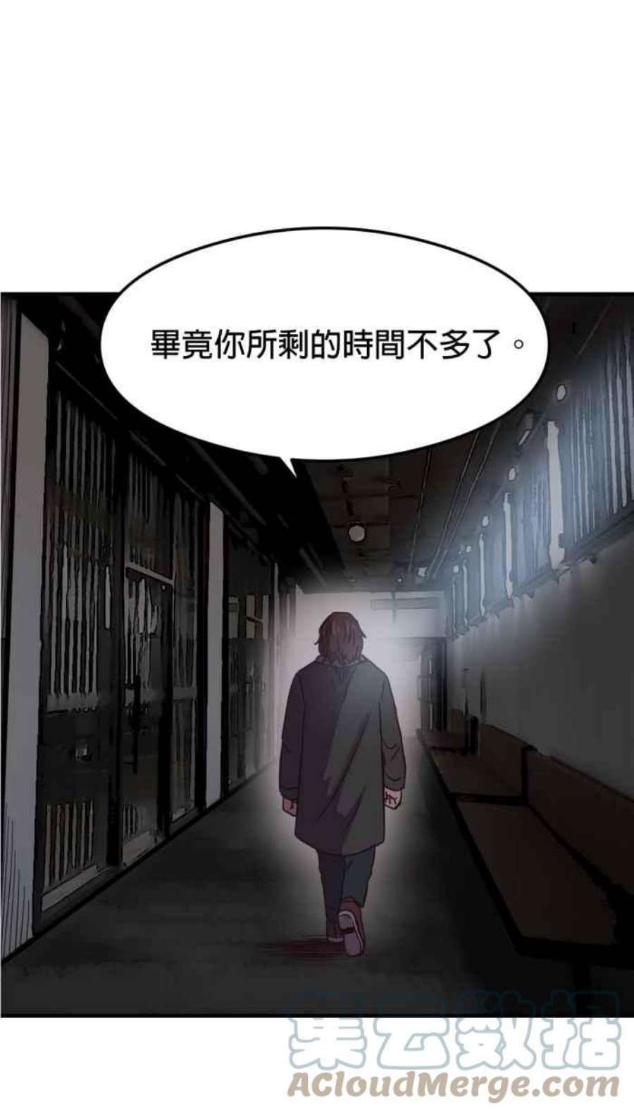 引路人216条路 落阳港大会