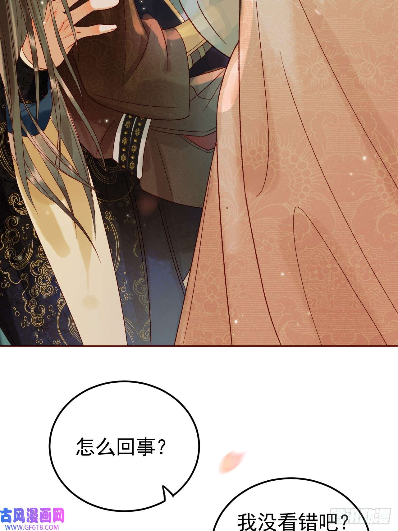 影卫第16话 小忠心护夫