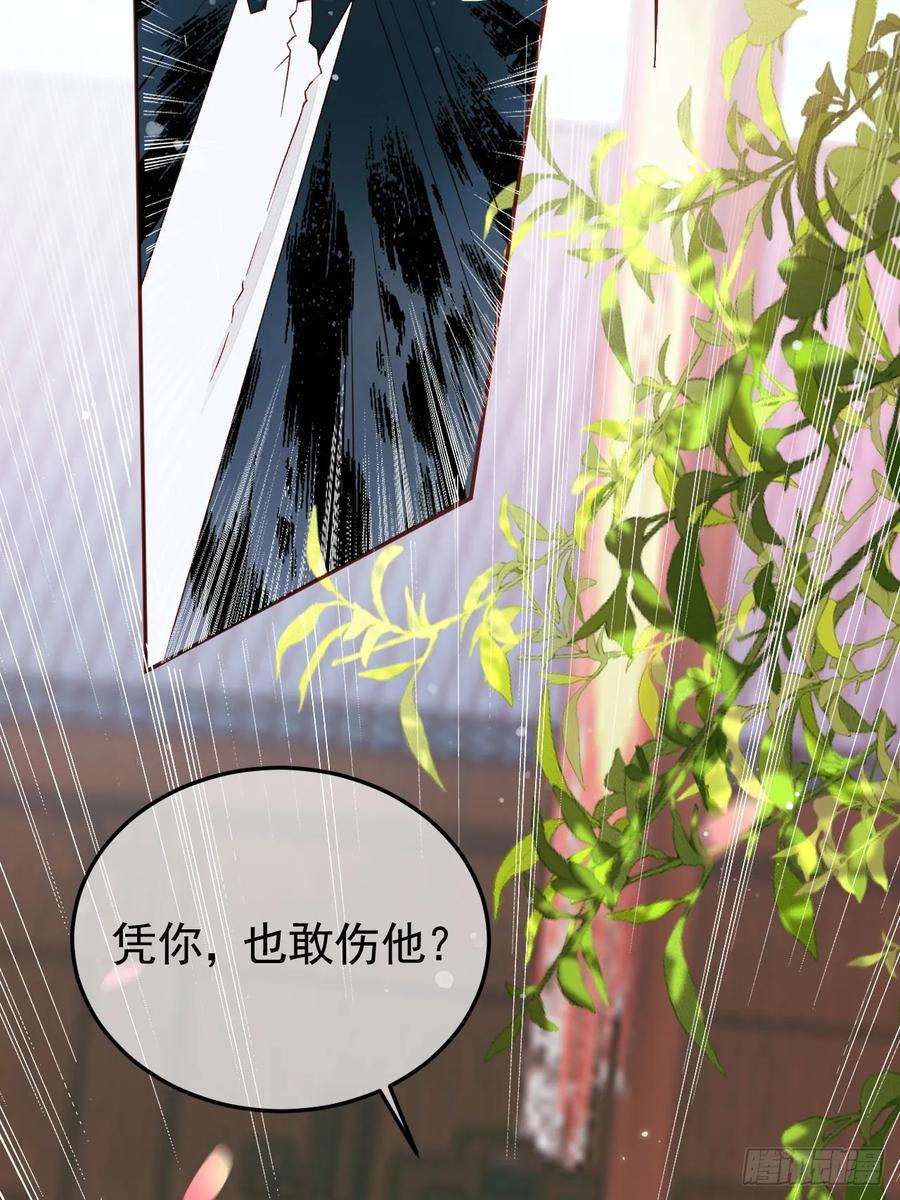 影卫13话 凭你，也敢伤他？