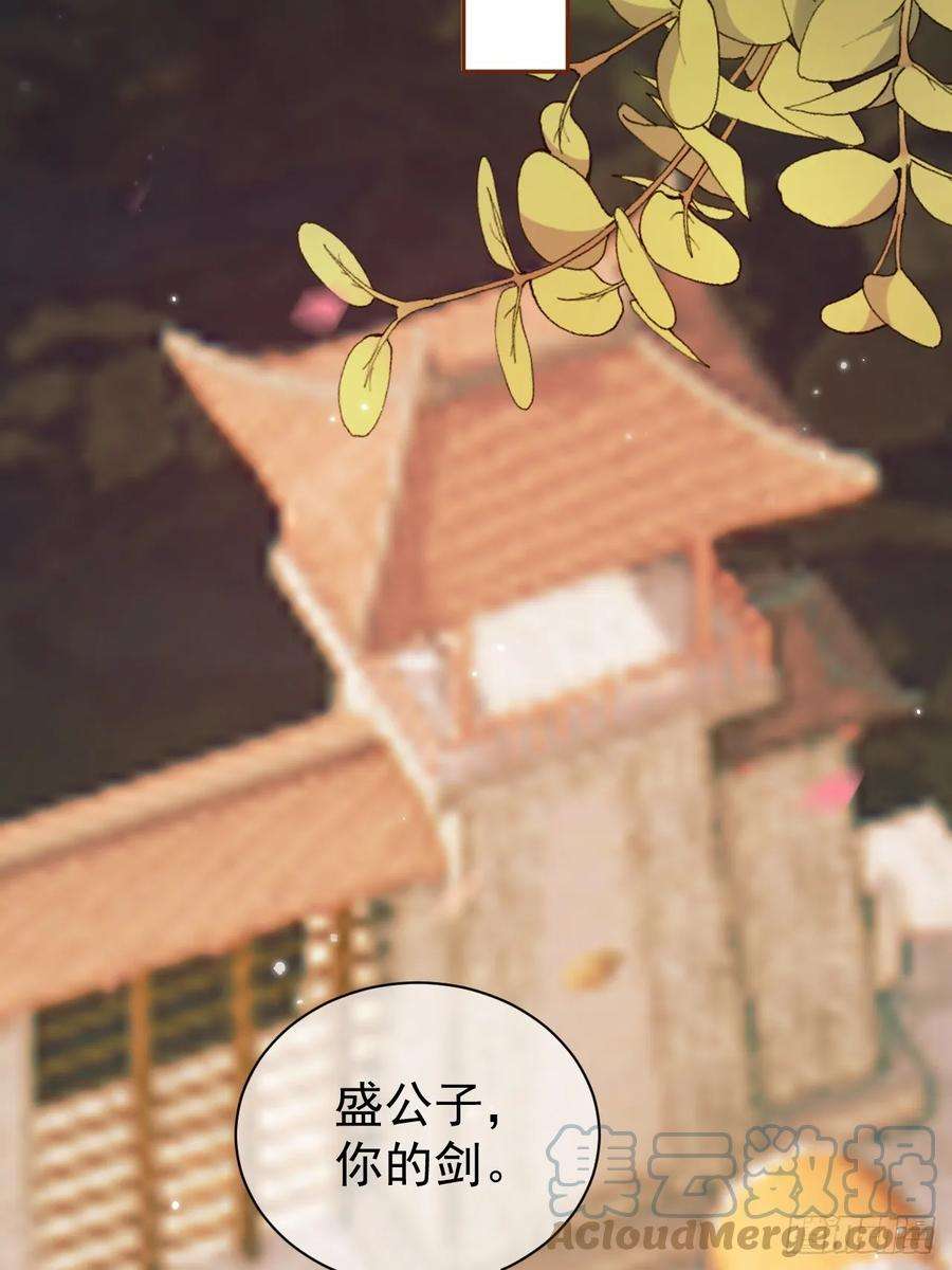 影卫19话 有刺客！