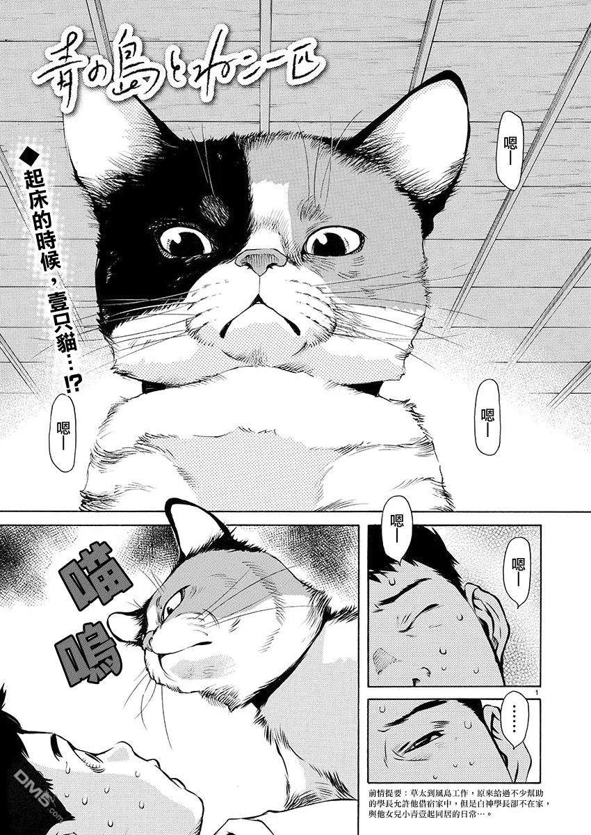 海岛与少女还有猫第4话 夏天的大三角