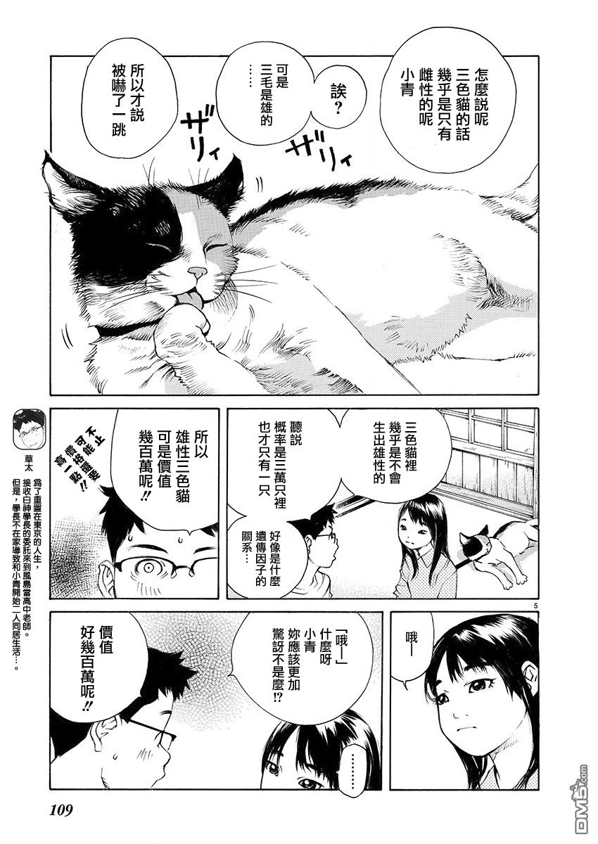 海岛与少女还有猫第4话 夏天的大三角