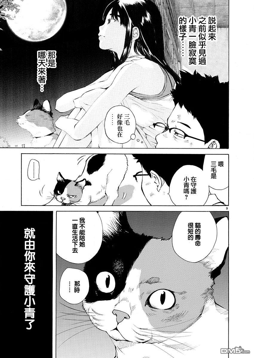 海岛与少女还有猫第16话 病床