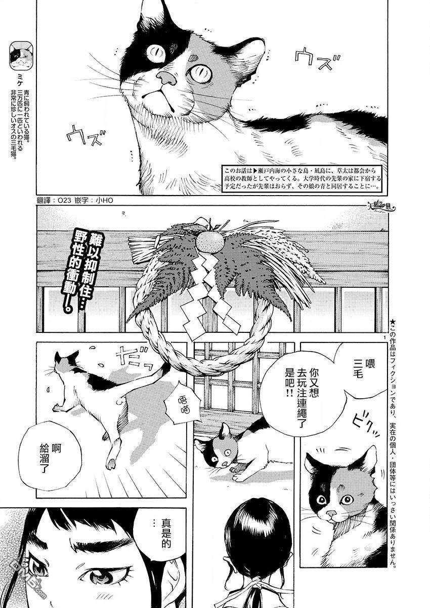 海岛与少女还有猫第18话 正月