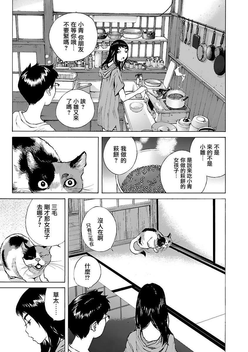 海岛与少女还有猫第33话