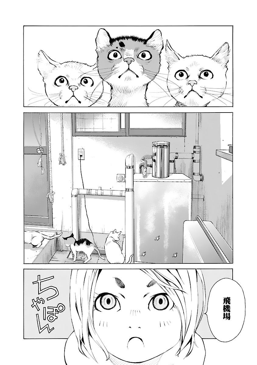 海岛与少女还有猫第36话