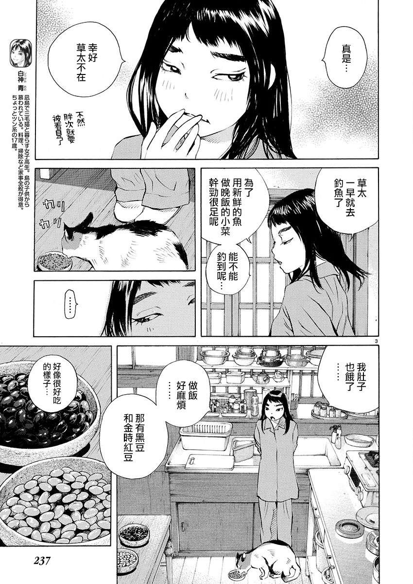 海岛与少女还有猫第19话