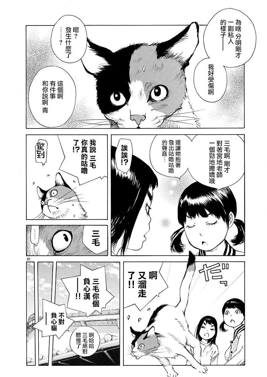 海岛与少女还有猫第19话