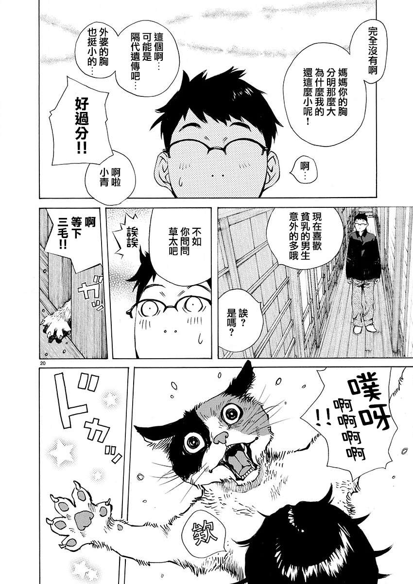 海岛与少女还有猫第21话