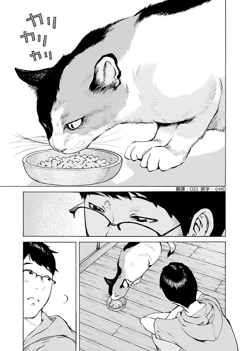 海岛与少女还有猫第26话