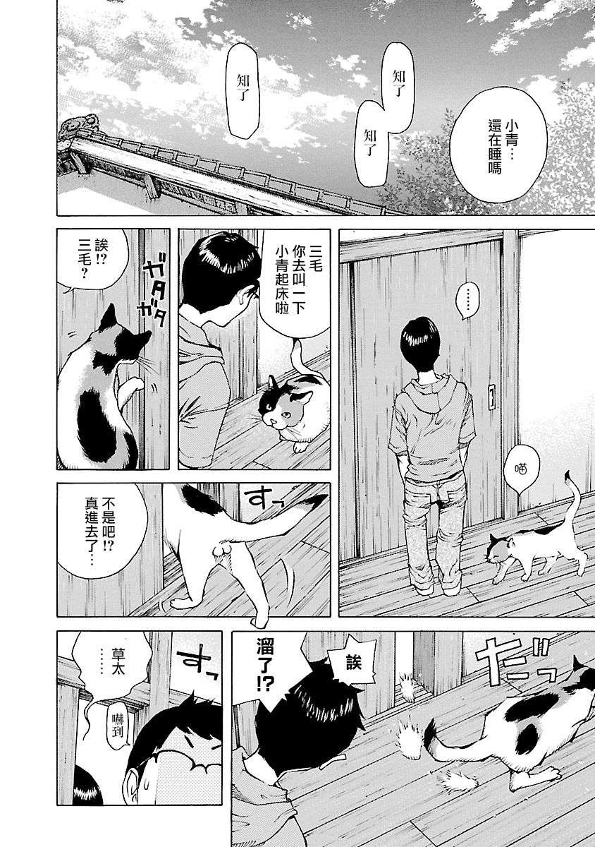 海岛与少女还有猫第26话