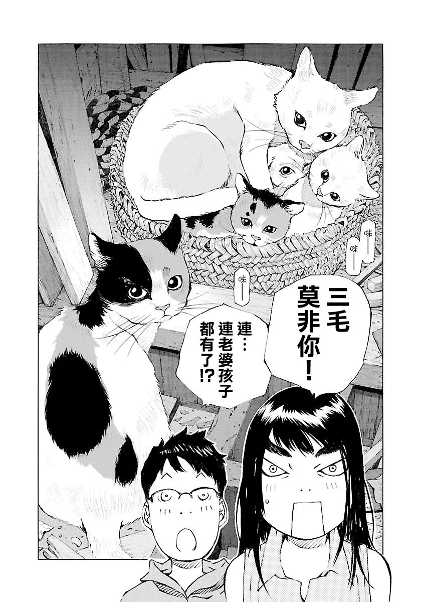 海岛与少女还有猫第27话