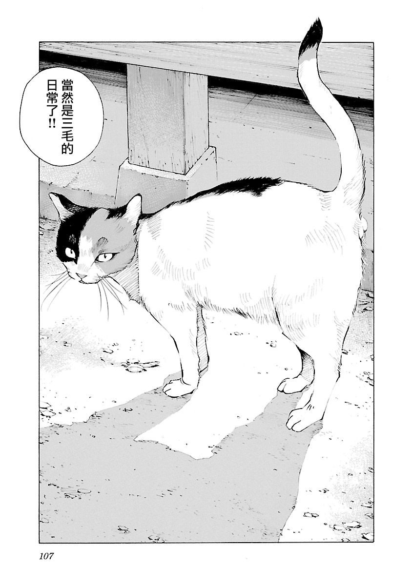 海岛与少女还有猫第27话
