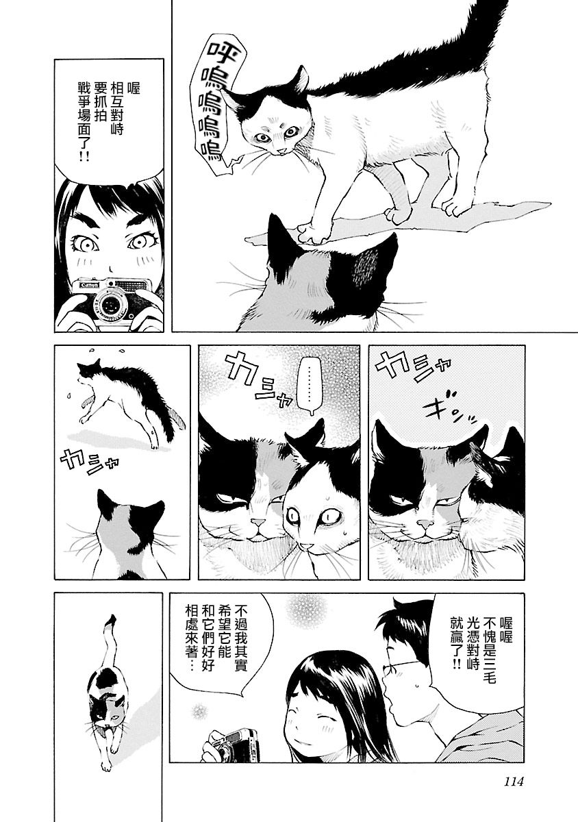 海岛与少女还有猫第27话