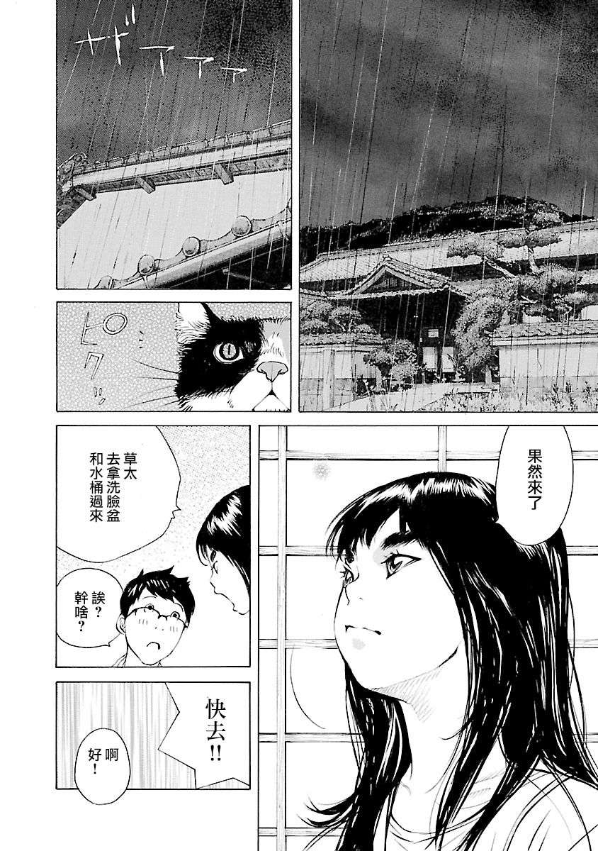 海岛与少女还有猫第28话