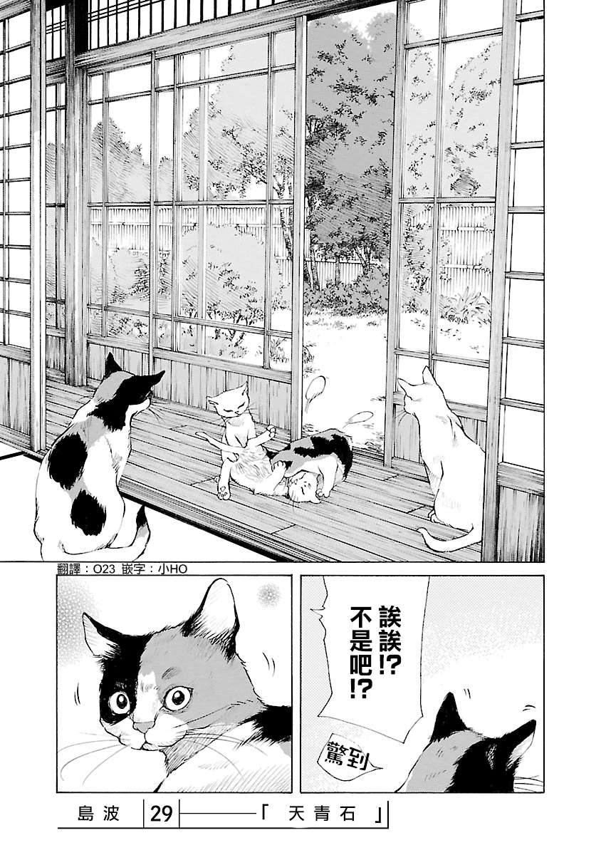 海岛与少女还有猫第29话