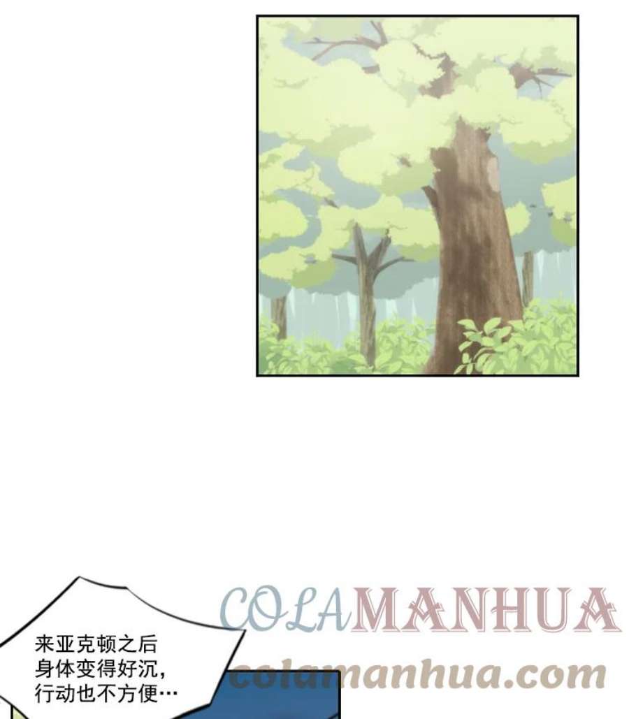 水之精灵王11.召唤魔法阵