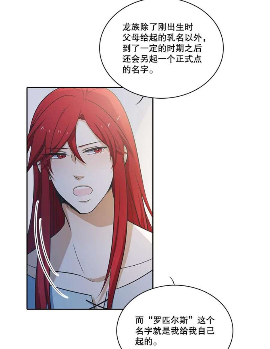 水之精灵王62.罗匹醒了