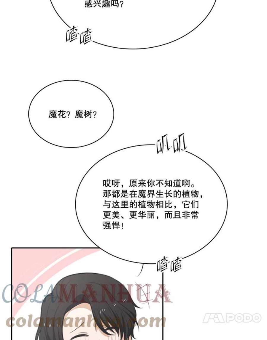 水之精灵王85.魔族