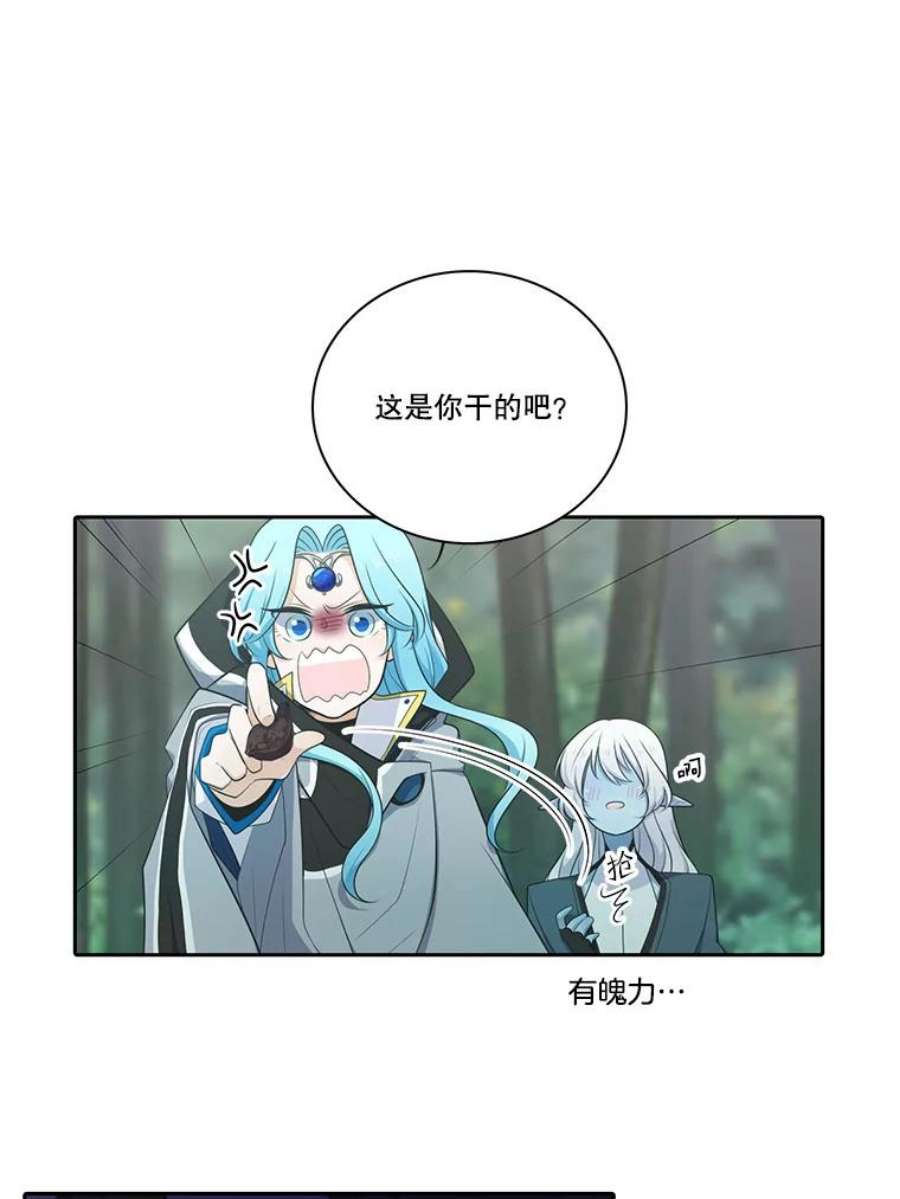 水之精灵王101.魔树的种子