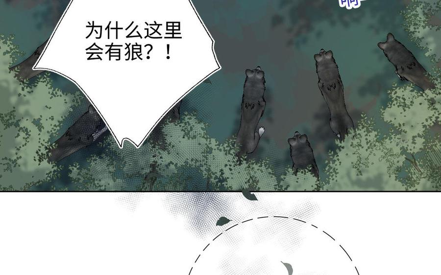 恶女拒绝泡男主19话 陷入狼群