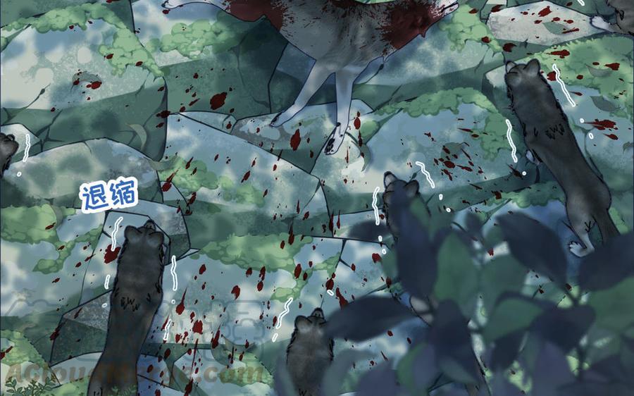 恶女拒绝泡男主21话 天罗邪功